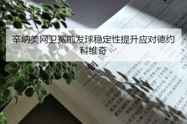 xin-na-mei-wang-wei-mian-qian-fa-qiu-wen-ding-xing-ti-sheng-ying-dui-de-yue-ke-wei-qi-2-506.jpg