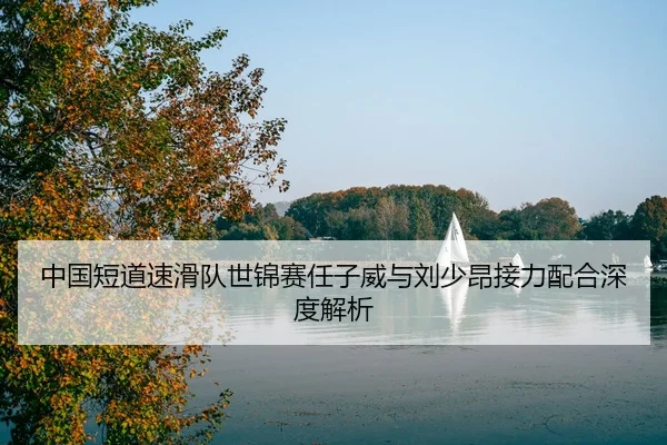 zhong-guo-duan-dao-su-hua-dui-shi-jin-sai-ren-zi-wei-yu-liu-shao-ang-jie-li-pei-he-shen-du-jie-xi-3-507.jpg