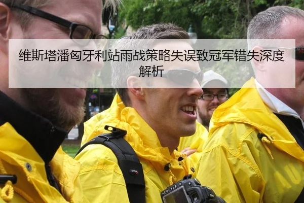 维斯塔潘匈牙利站雨战策略失误致冠军错失深度解析